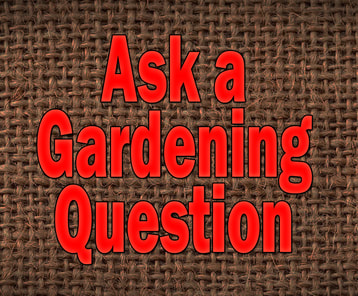 Ask a gardening question